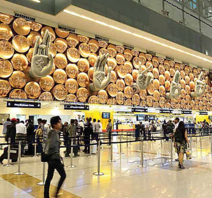 Delhi Airport Customs Seize 17.7 kg Hydroponic Weed, Two Passengers Under Investigation