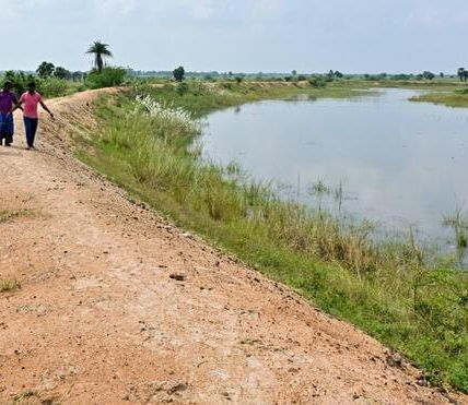 Parandur Airport News: Tamil Nadu Has Not Yet Asked Centre to Change Chennai’s Second Airport Site