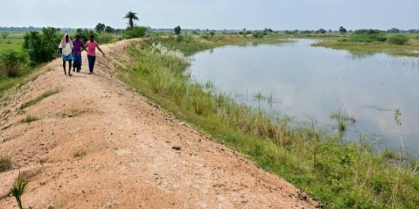 Parandur Airport News: Tamil Nadu Has Not Yet Asked Centre to Change Chennai’s Second Airport Site