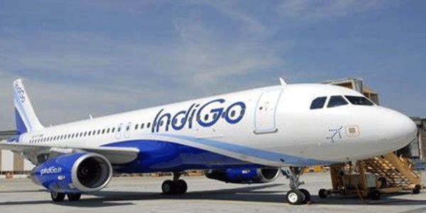 IndiGo,