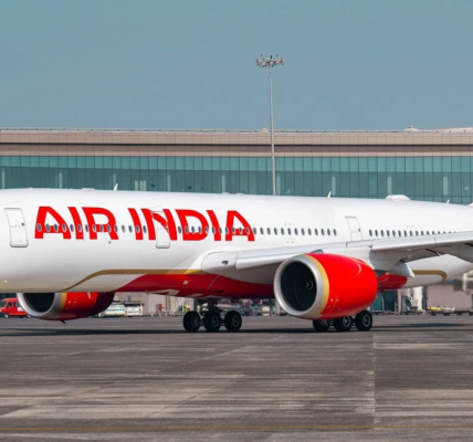 Probe Launched After 17 Injured on Air India Flight
