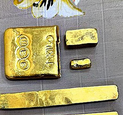 CISF Seizes 1.597 Kg Gold Worth ₹2.4 Crore