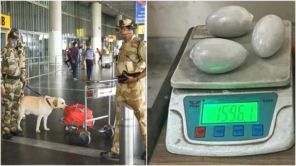 1.346 Kg Gold Worth ₹1.88 Crore Seized From Passenger