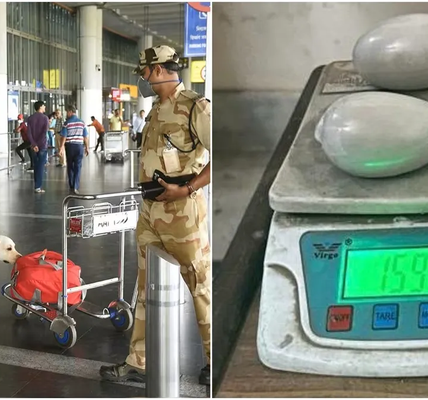 1.346 Kg Gold Worth ₹1.88 Crore Seized From Passenger