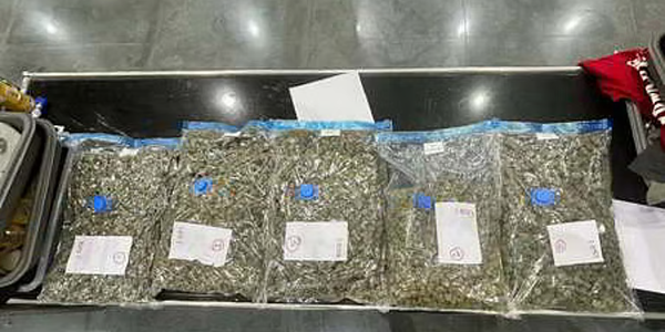 Customs Seizes Ganja Worth Rs 41.33 Lakh From Passenger