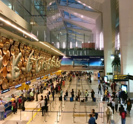 Bird Strike Incidents Rise 3.5 Times Amid Waste Concerns