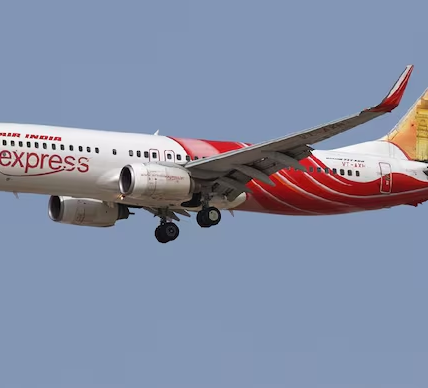 Boeing 737 MAX Software Glitch May Affect 96 Planes