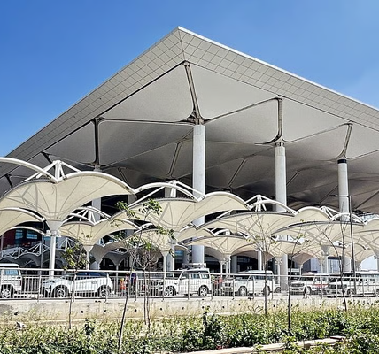 Authorities Review Bird-Hit Risks at Noida International Airport