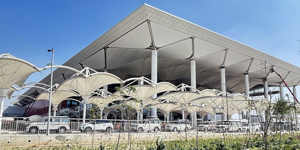 Authorities Review Bird-Hit Risks at Noida International Airport