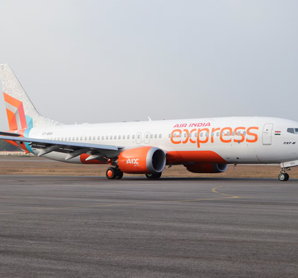 Air India Express Flight Hit by Bird on Bengaluru Route, Lands Safely